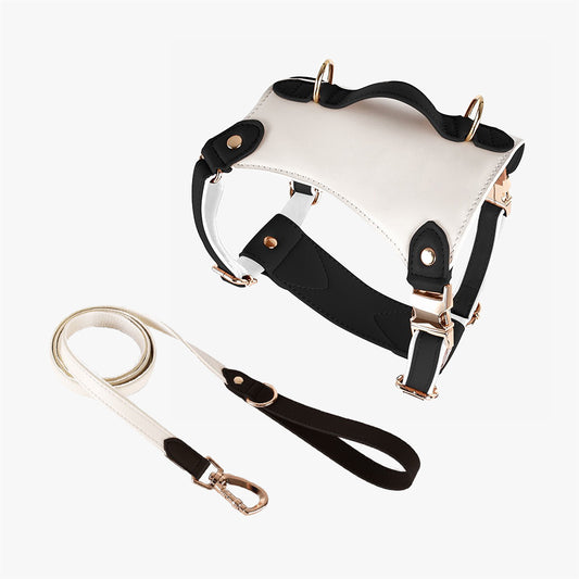 Elysian Vegan Leather Harness + Lead Set