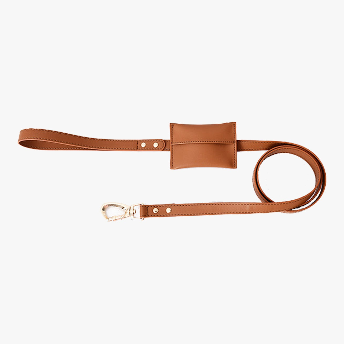 Leather Dog Lead with Waste bag