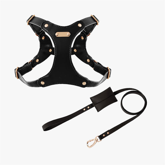 Vegan Leather Harness + Lead Set