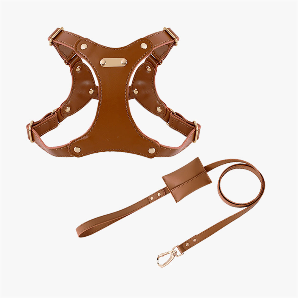 Vegan Leather Harness + Lead Set