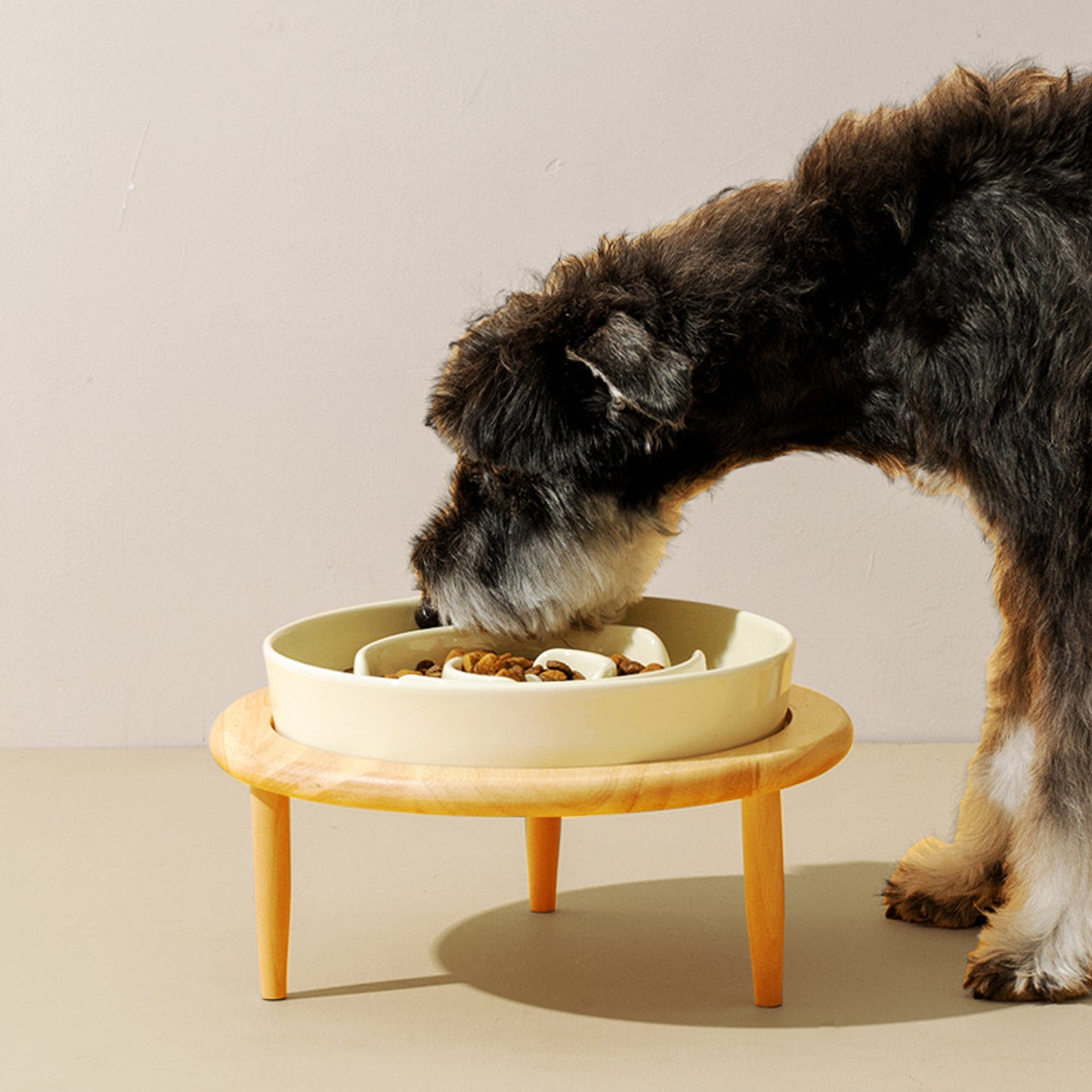 Premium Ceramic Dog slow feeder bowl