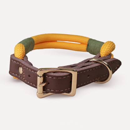 Handmade Braided Dog Collar